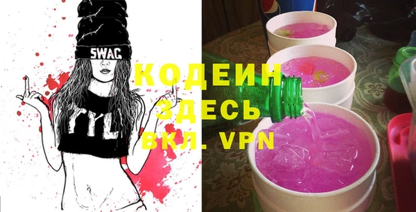 дурь Алексин