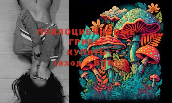 дурь Алексин