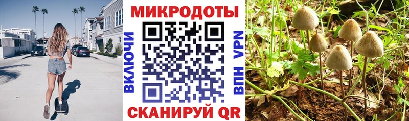 Псилоцибиновые грибы Cubensis  продажа наркотиков  Сухиничи 